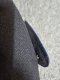 20260729_224208.jpg